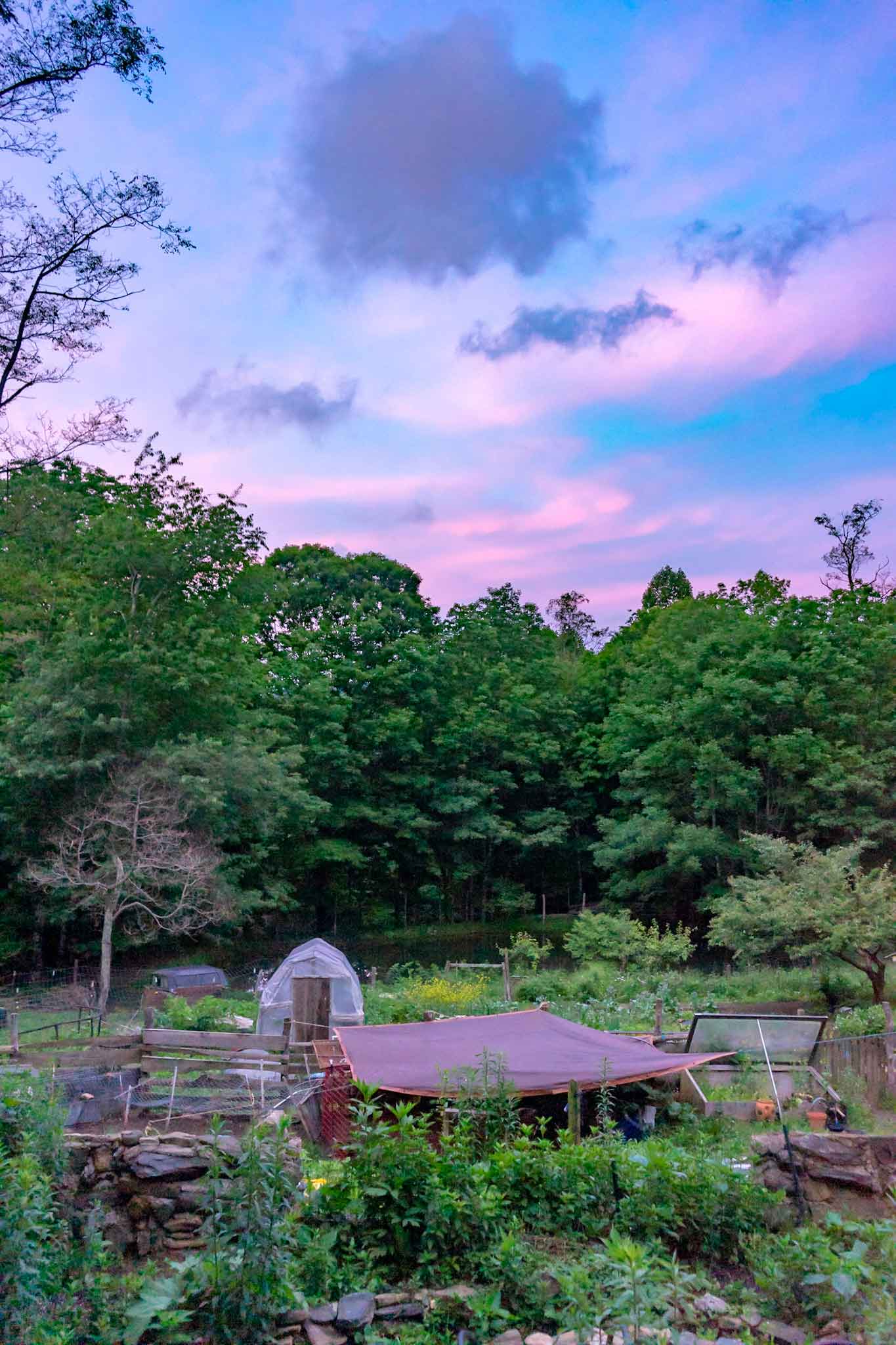 pink-blue clouds above the farm's beds and greenhouse